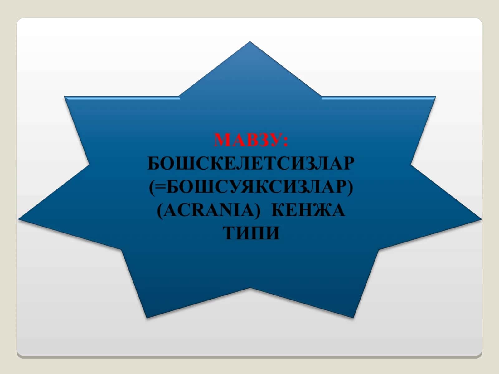Бошскелетсизлар кенжа типининг умумий тавсифи