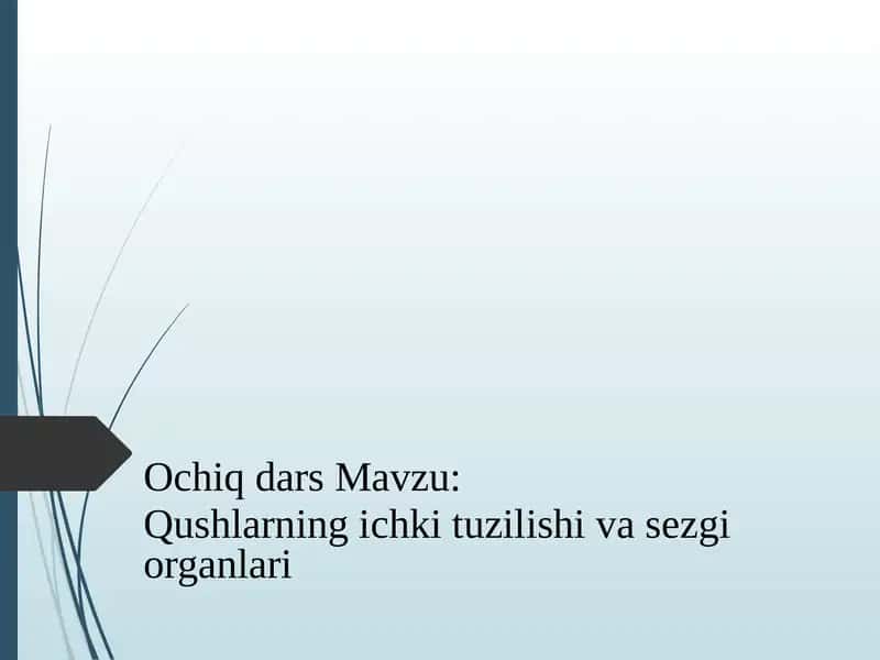 Qushlarning ichki tuzilishi va sezgi organlari