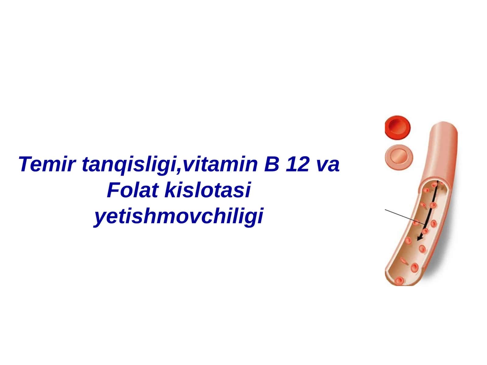 Temir tanqisligi, vitamin B 12 va Folat kislotasiyetishmovchiligi