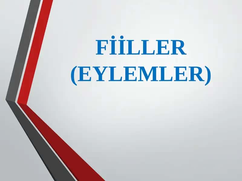 Fiiller(Eylemler)