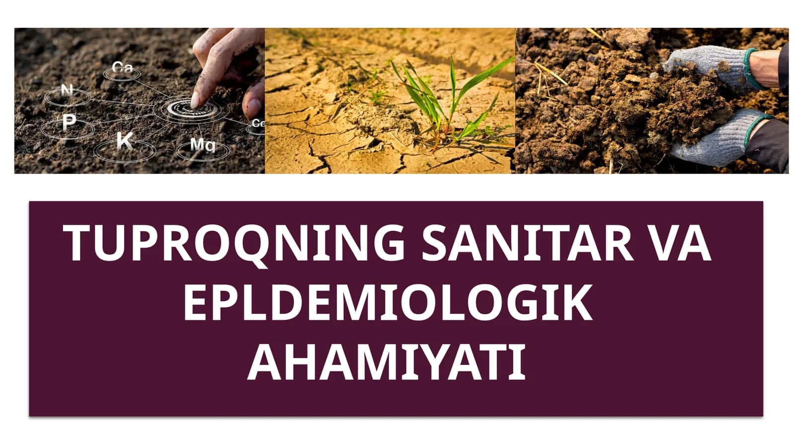 Tuproqning sanitar-vaepldemiologikahamiyati