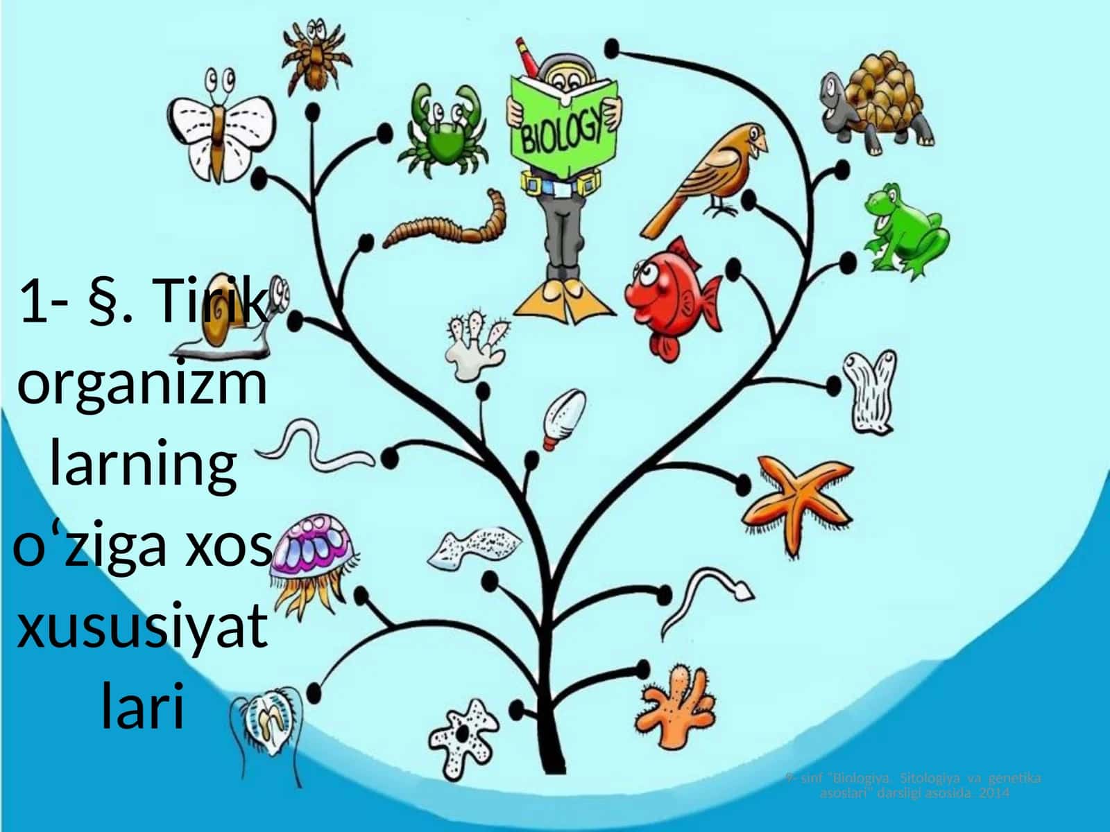 Sinflar bo'yicha biologiya darsi