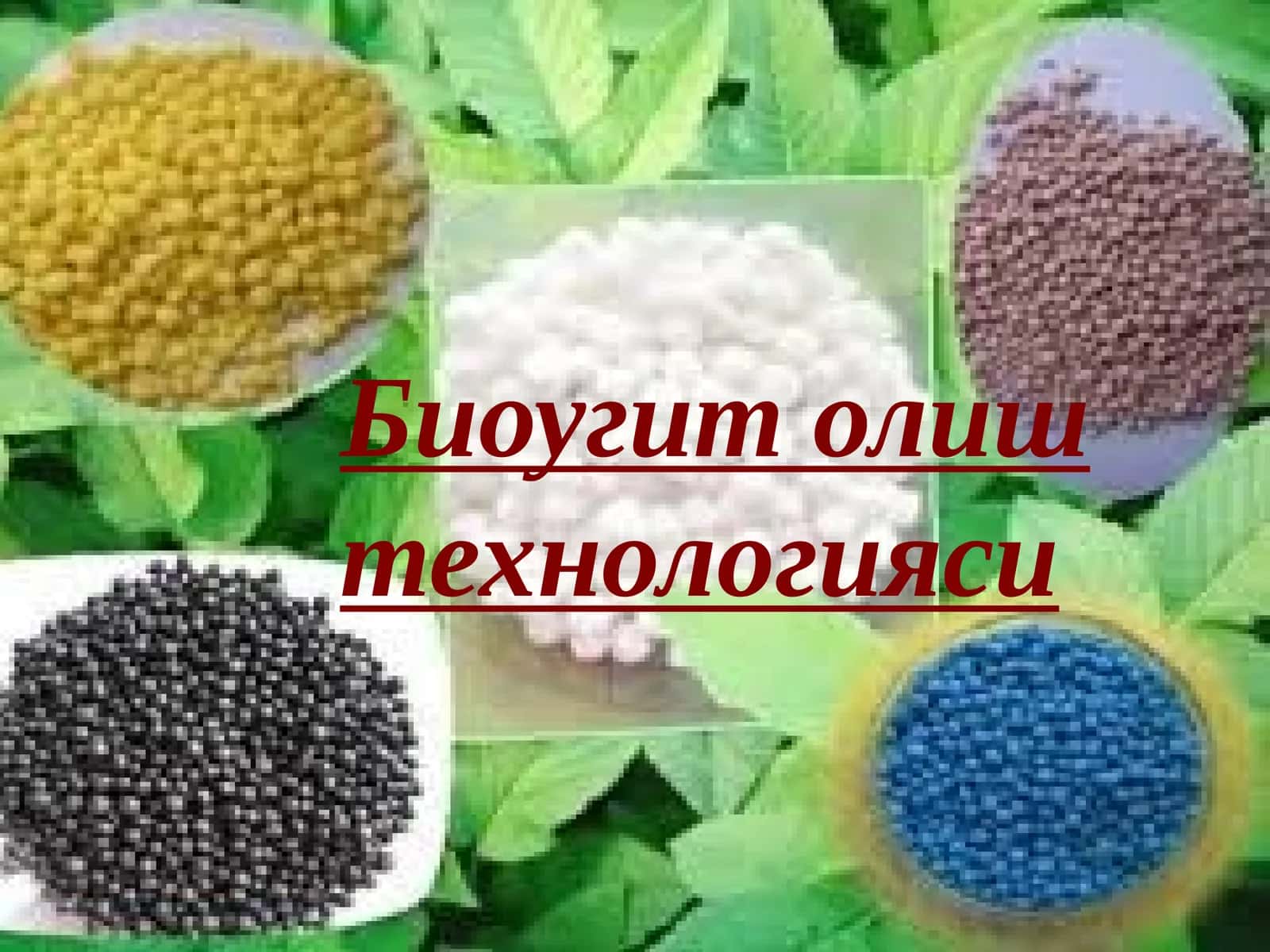 Биоугит олиштехнологияси
