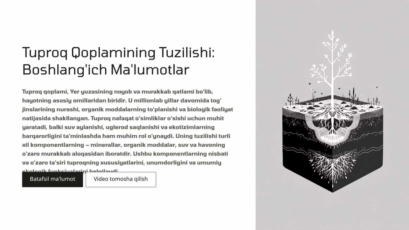 Tuproq qoplamining tuzilishi