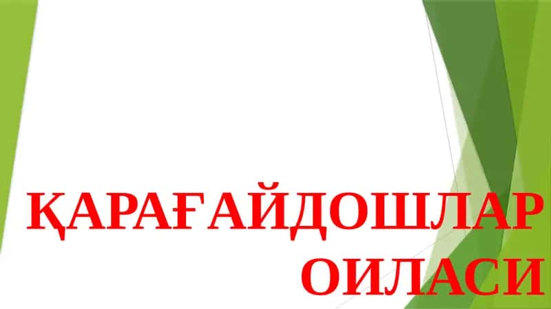 Қарағайдошлар оиласи