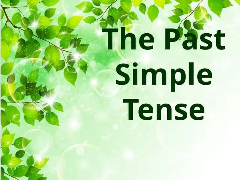 The Past Simple Tense