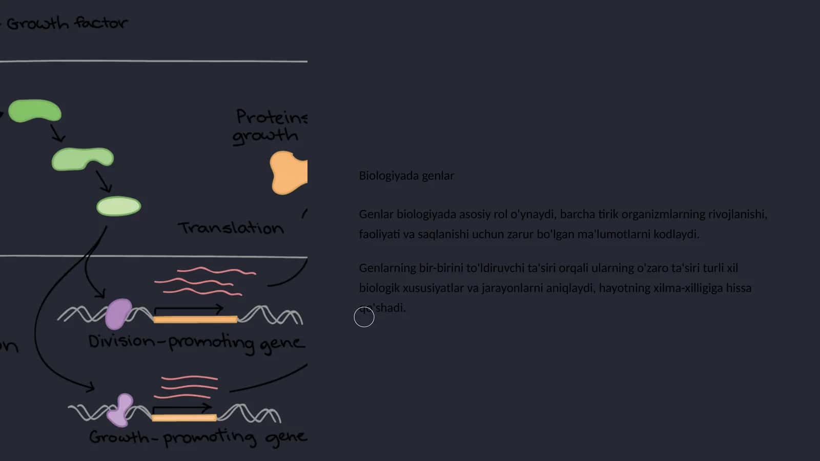 Biologiyada genlar