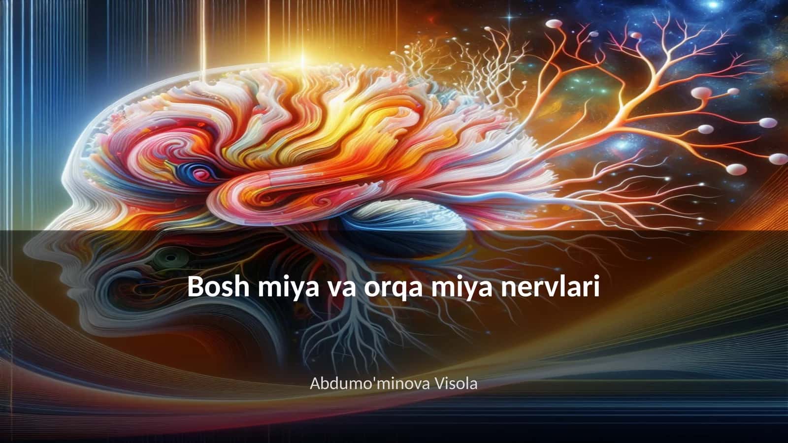 Bosh miya va orqa miya nervlari
