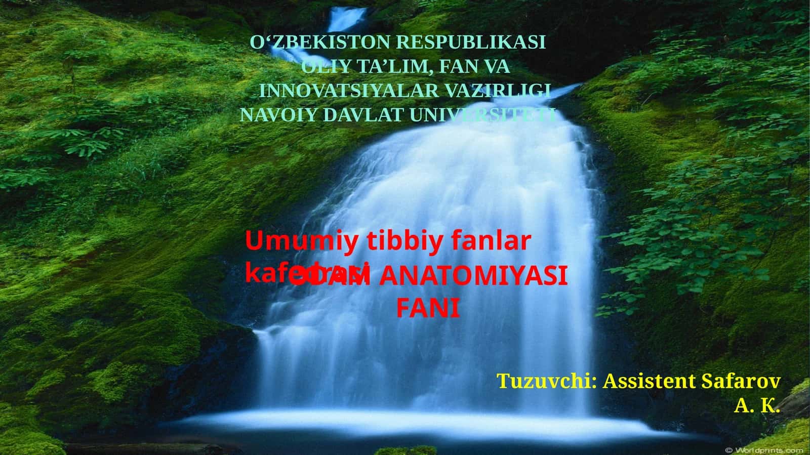 ODAM ANATOMIYASI FANI