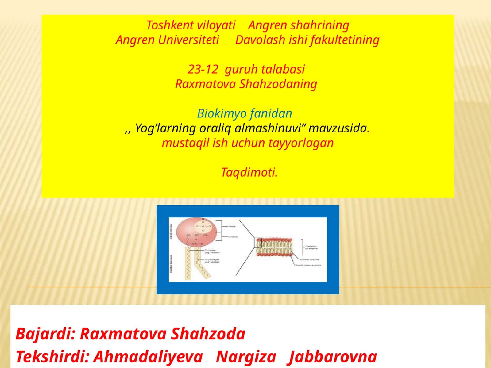 YOG’LAR (LIPID) HAQIDA