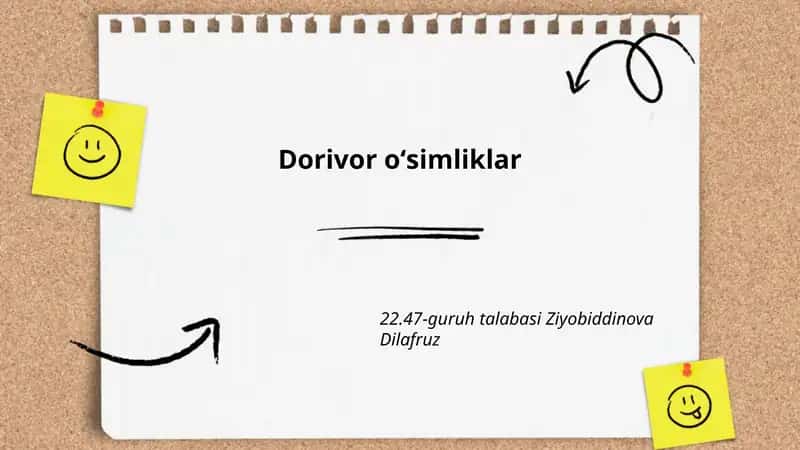 Dorivor oʻsimliklar