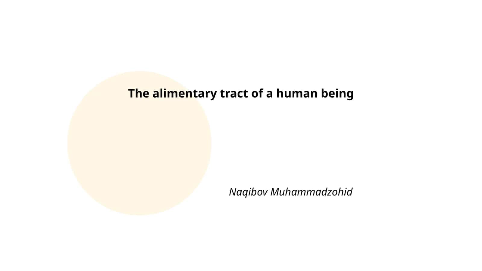 The Alimentary Tract of a Human Being