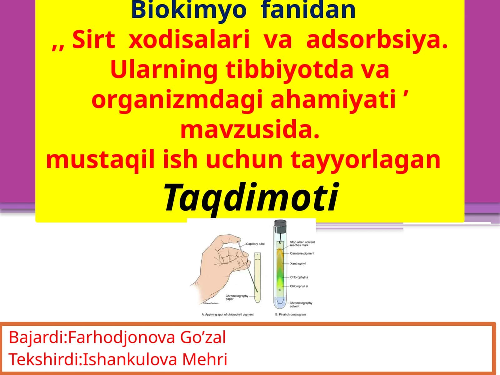 Biokimyo fanidan Sirtxodisalar va adsorbsiya, 25-2 guruh