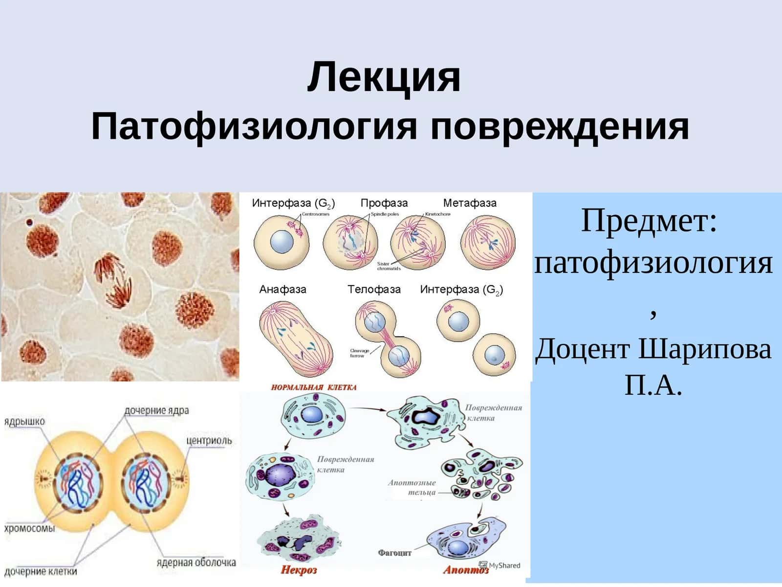Патофизиология повреждения
