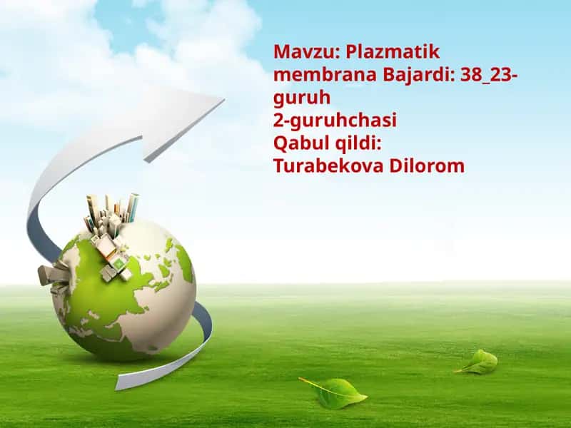 Plazmatik membrana