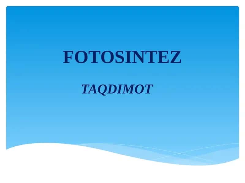 FOTOSINTEZ