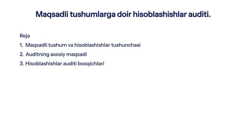 Maqsadli Tushumlar va Hisoblashishlarning Auditiga Doir Reja