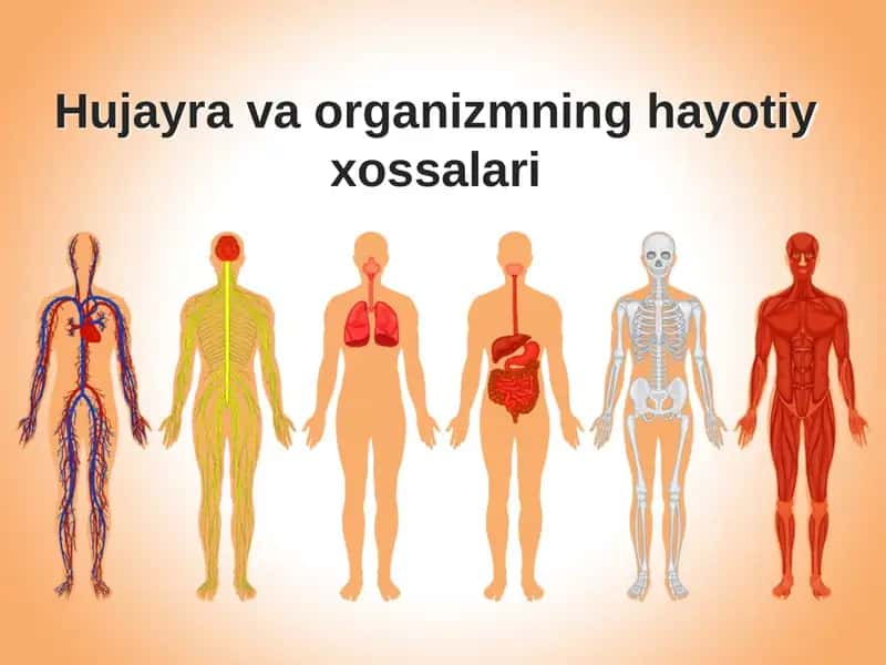 Hujayra va organizmning hayotiy xossalari