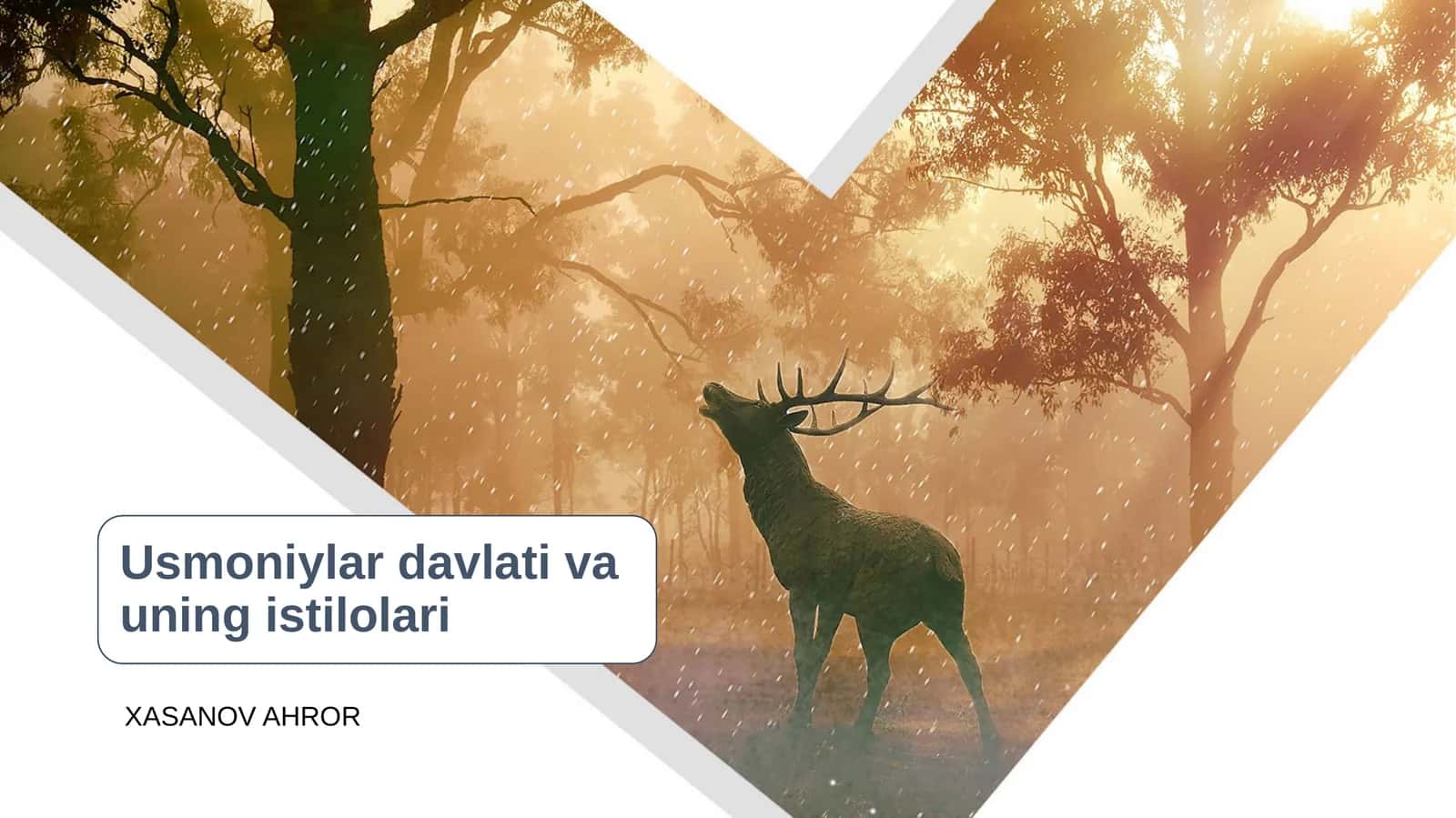 USMONIYLAR DAVLATINING TARIXI