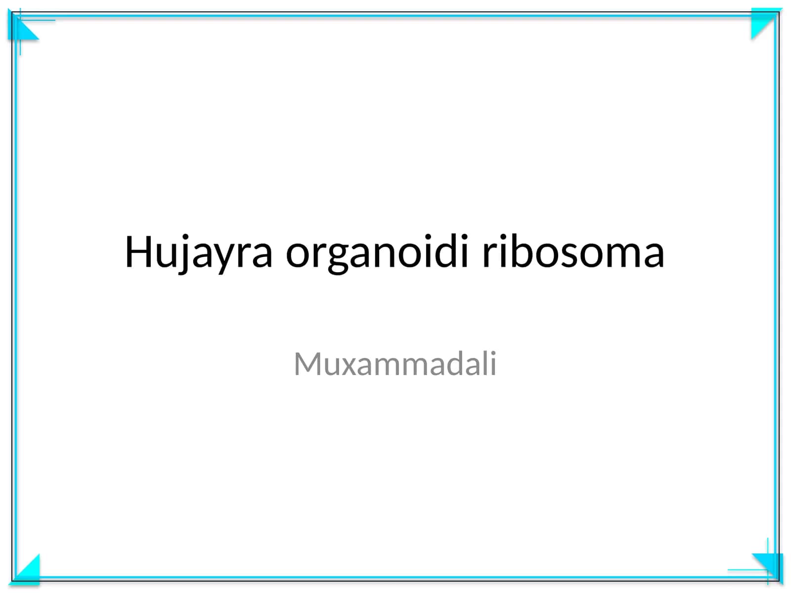 Hujayra organoidi ribosoma