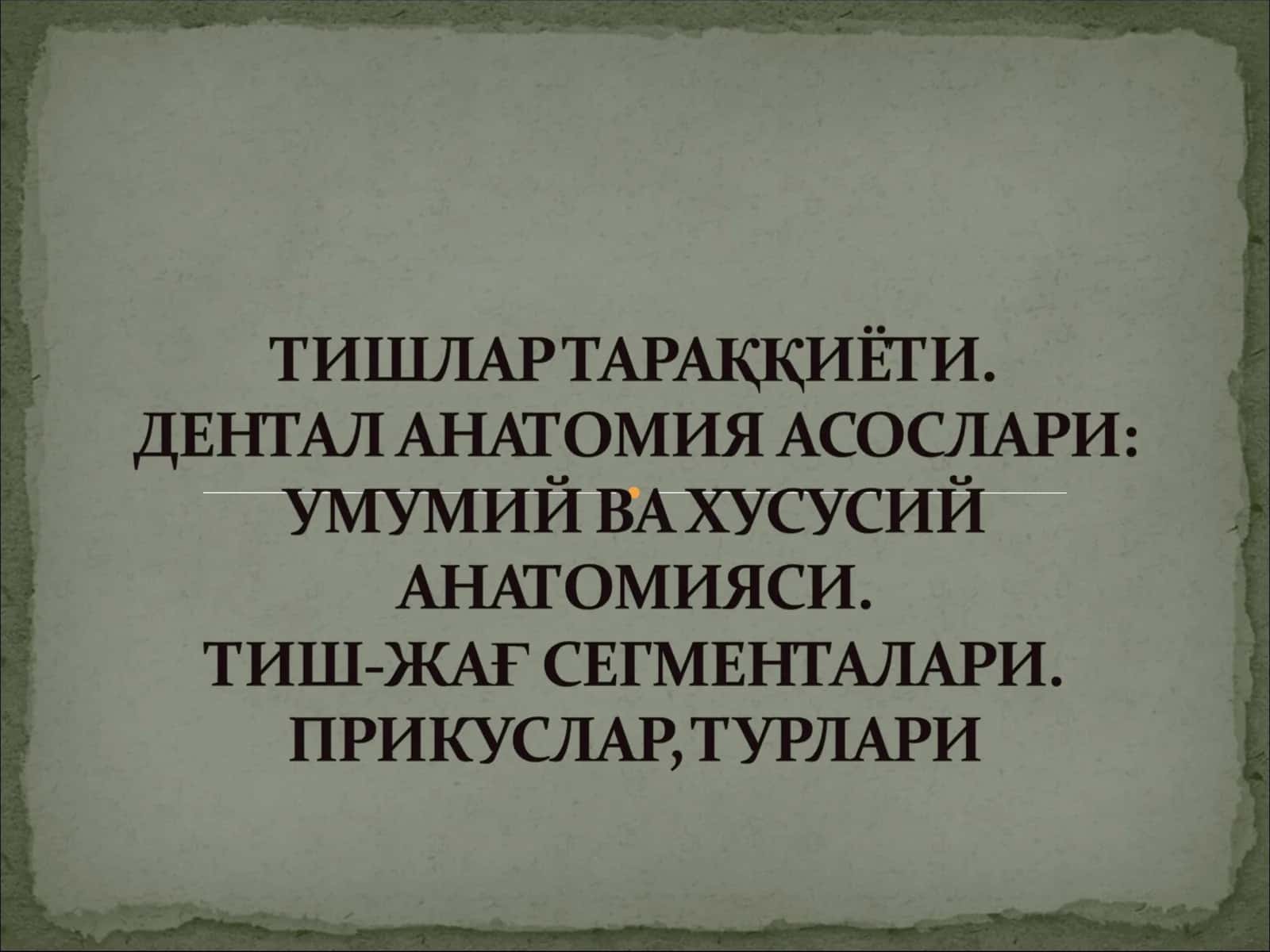 Тишларнинг хусусий анатомияси
