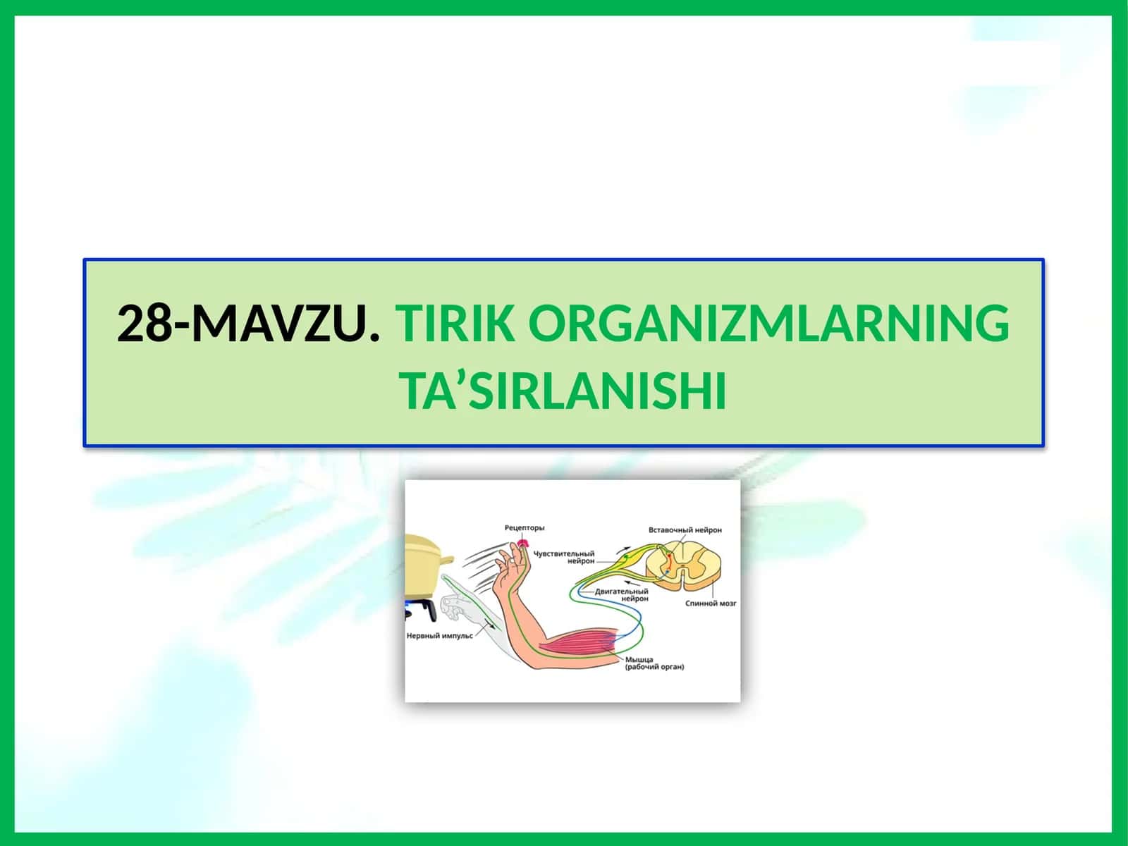 MAVZU.TIRIK ORGANIZMLARNING TA’SIRLANISHI