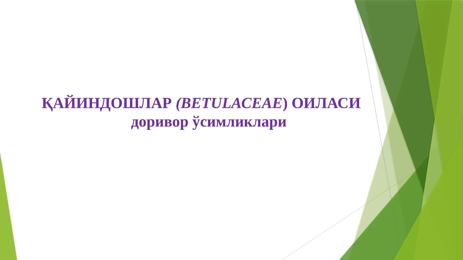 ҚАЙИНДОШЛАР(ВЕТULАСЕАЕ) ОИЛАСИдоривор ўсимликлари