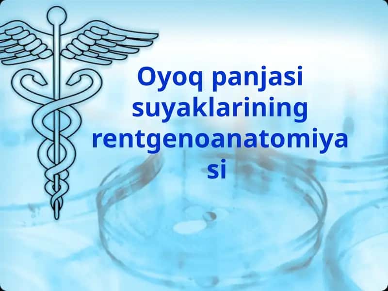 Oyoq panjasi suyaklarining rentgeno anatomiyasi