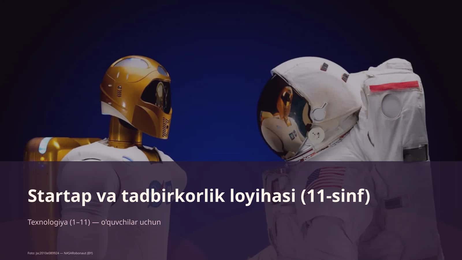 Startap va tadbirkorlik loyihasi (11-sinf)