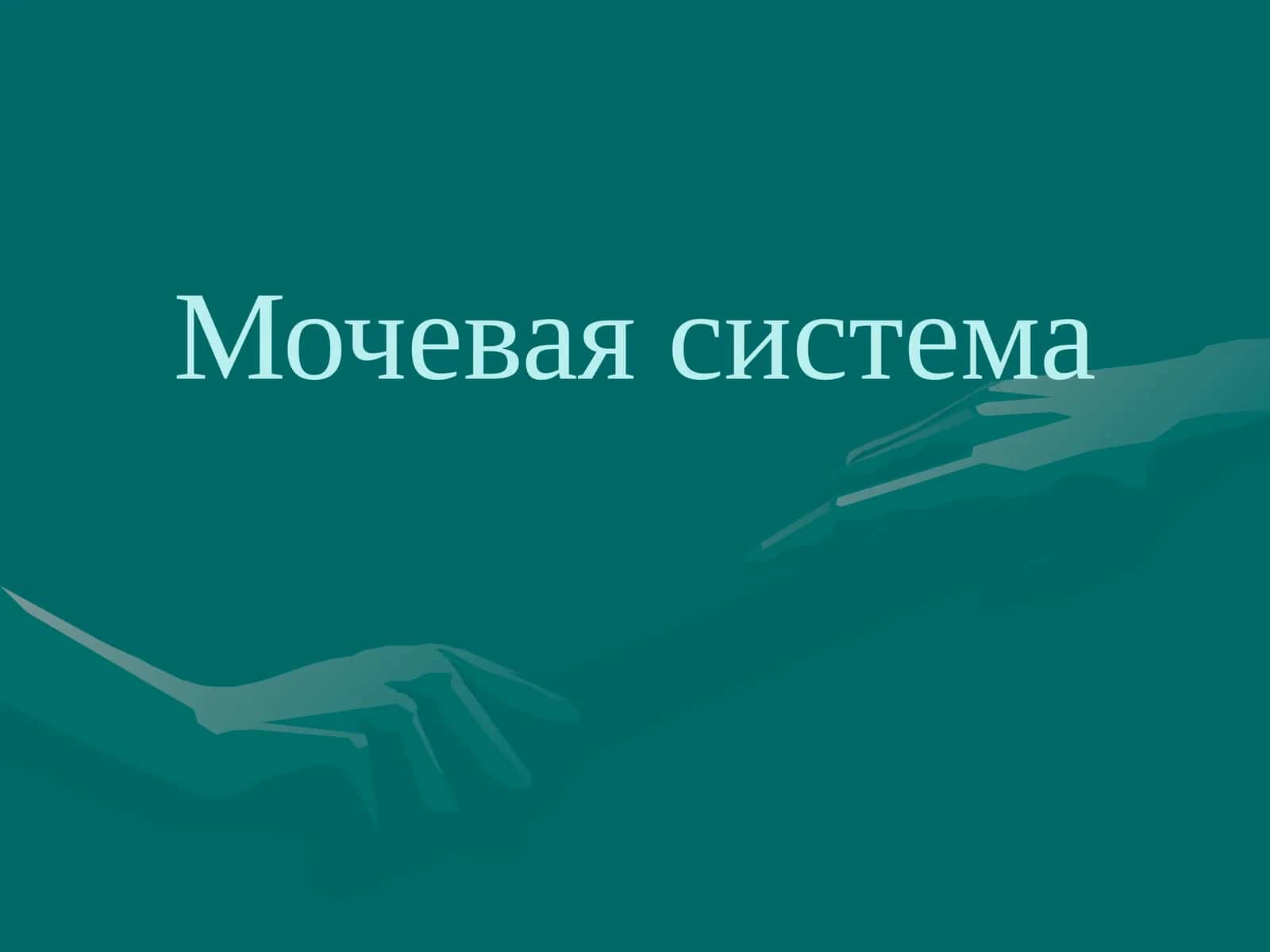 Мочевая система
