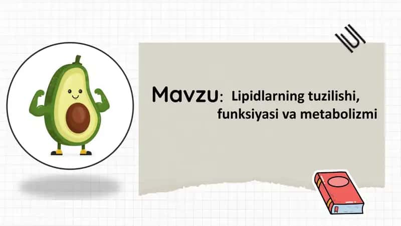 Lipidlarning tuzilishi, funksiyasi va metabolizmi