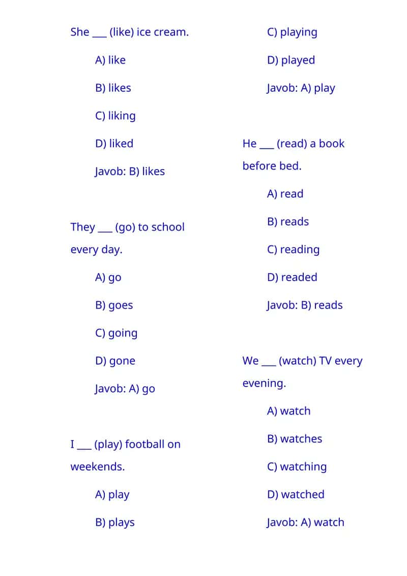 English Grammar Quiz