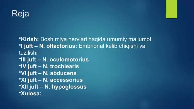 bosh miya nervlarining hosil boʻlishi
