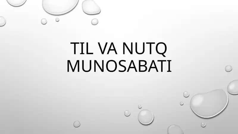 Til va nutq munosabati