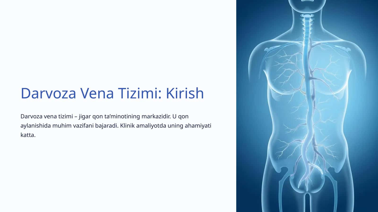 Darvoza Vena Tizimi: Kirish