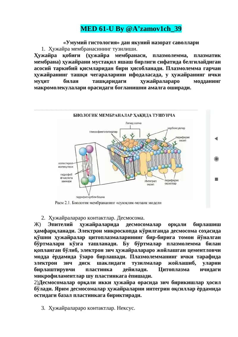 Умумий гистология