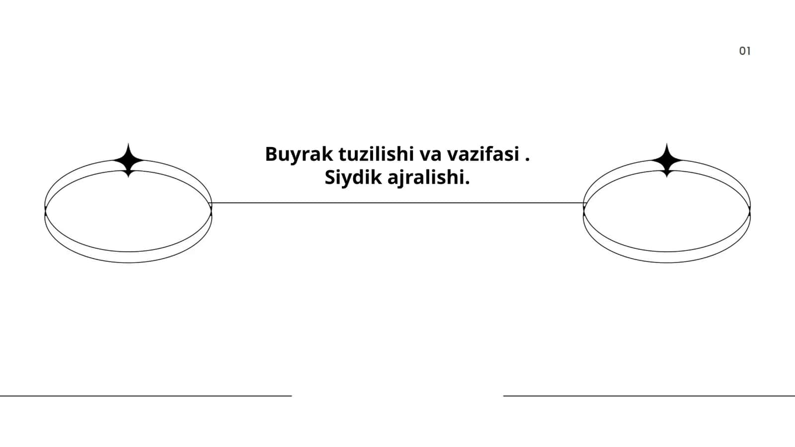 Buyrak tuzilishi va vazifasi