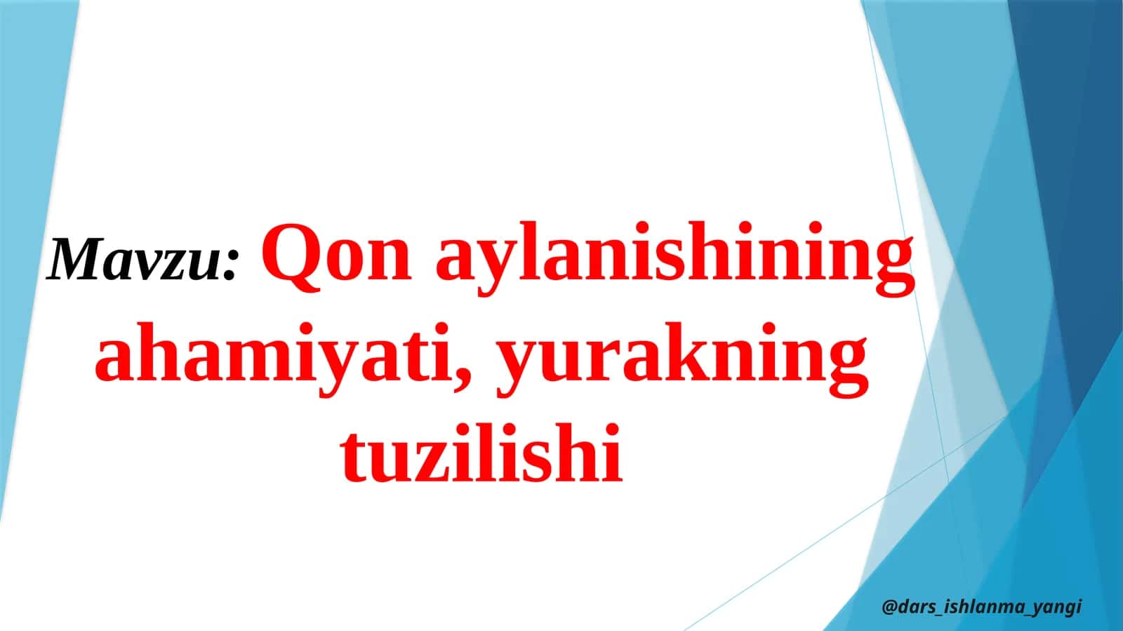 Qonaylanishining ahamiyati, yurakning tuzilishi
