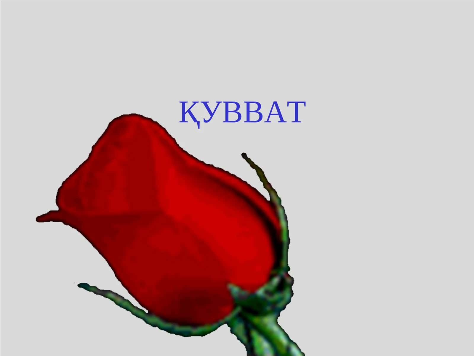 ҚУВВАТ