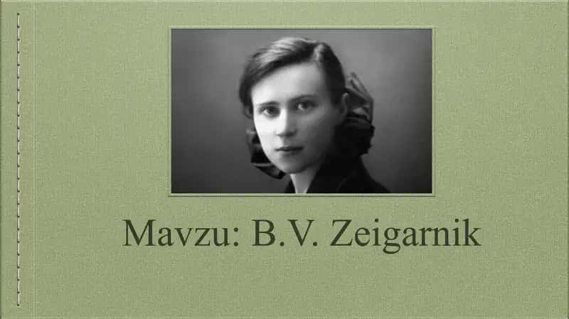 B.V. Zeigarnik