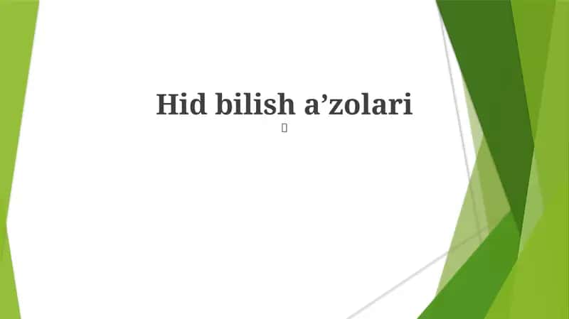 Hid bilish a'zolari