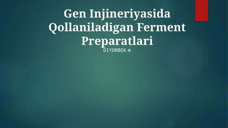 Ferment Preparatlari