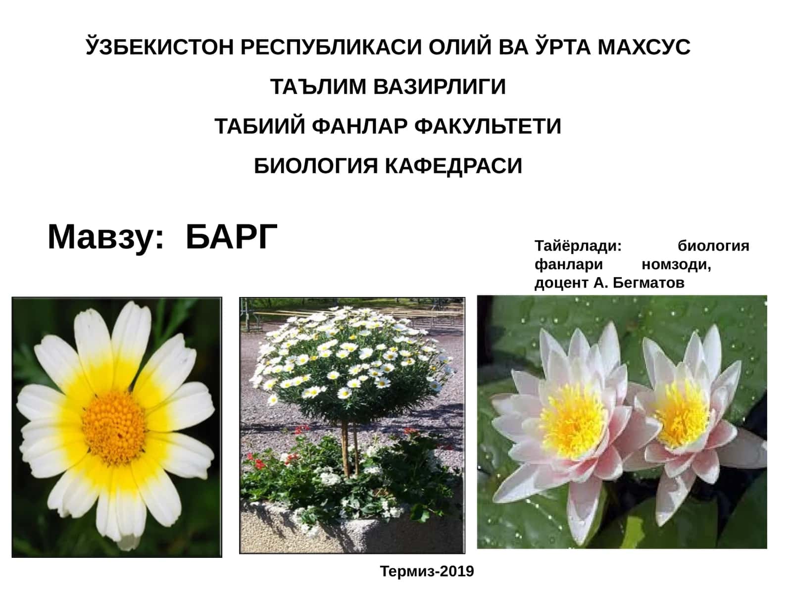 БАРГ