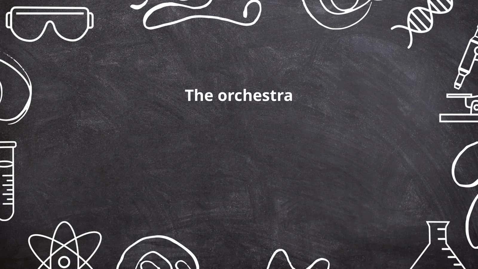The orchestra