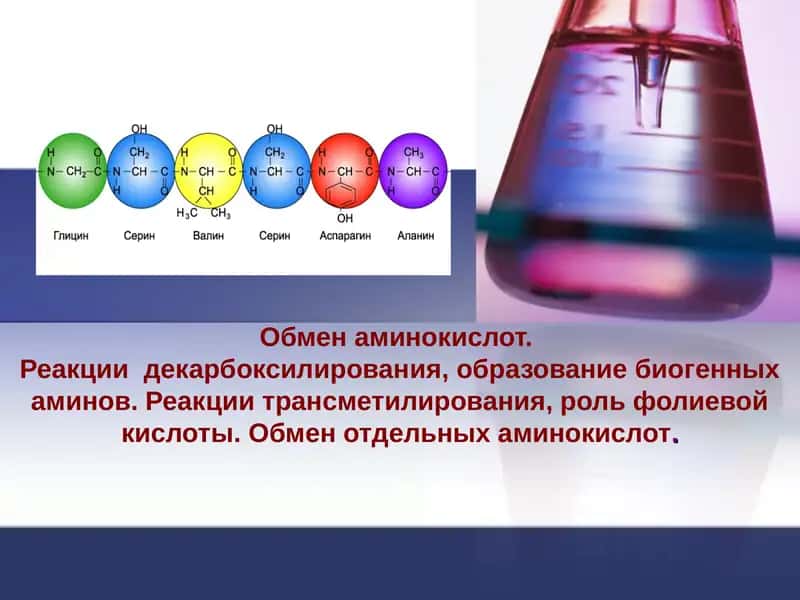 Обмен аминокислот
