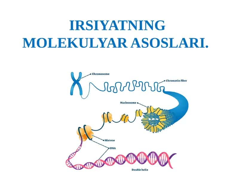 IRSIYATNING MOLEKULYAR ASOSLARI