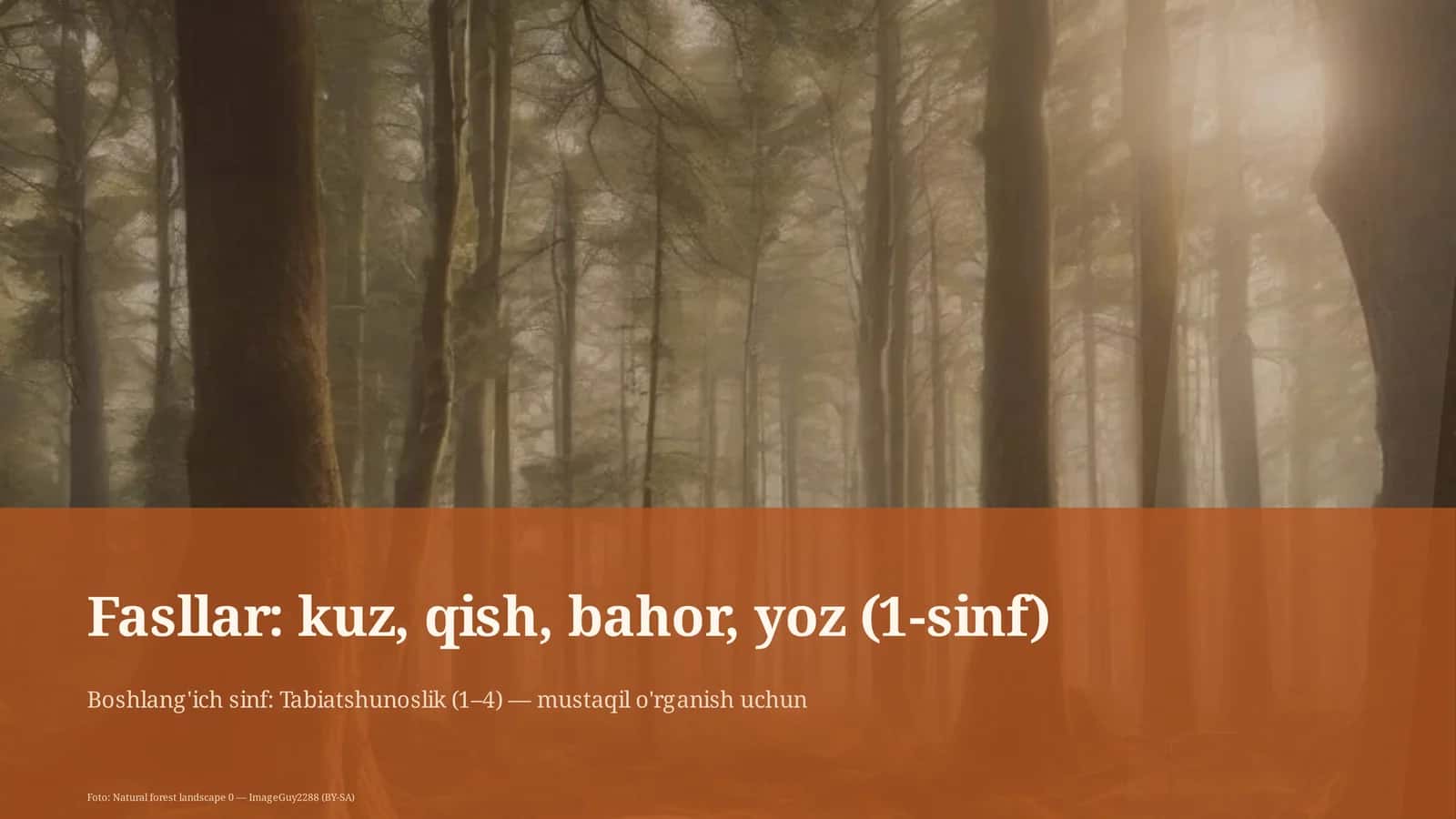 Tabiatshunoslik darsi
