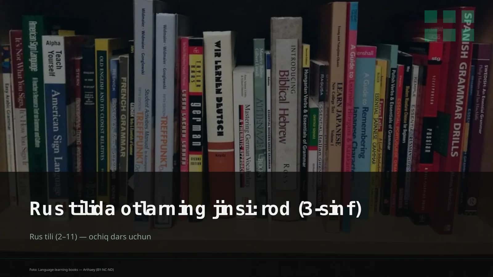 Rus tilida otlarning jinsi: rod (3-sinf)