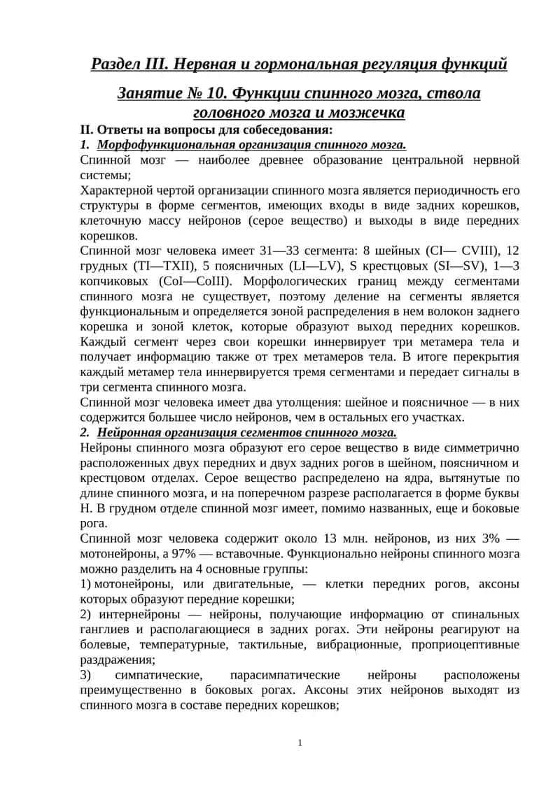 Функции спинного мозга, ствола головного мозга и мозжечка