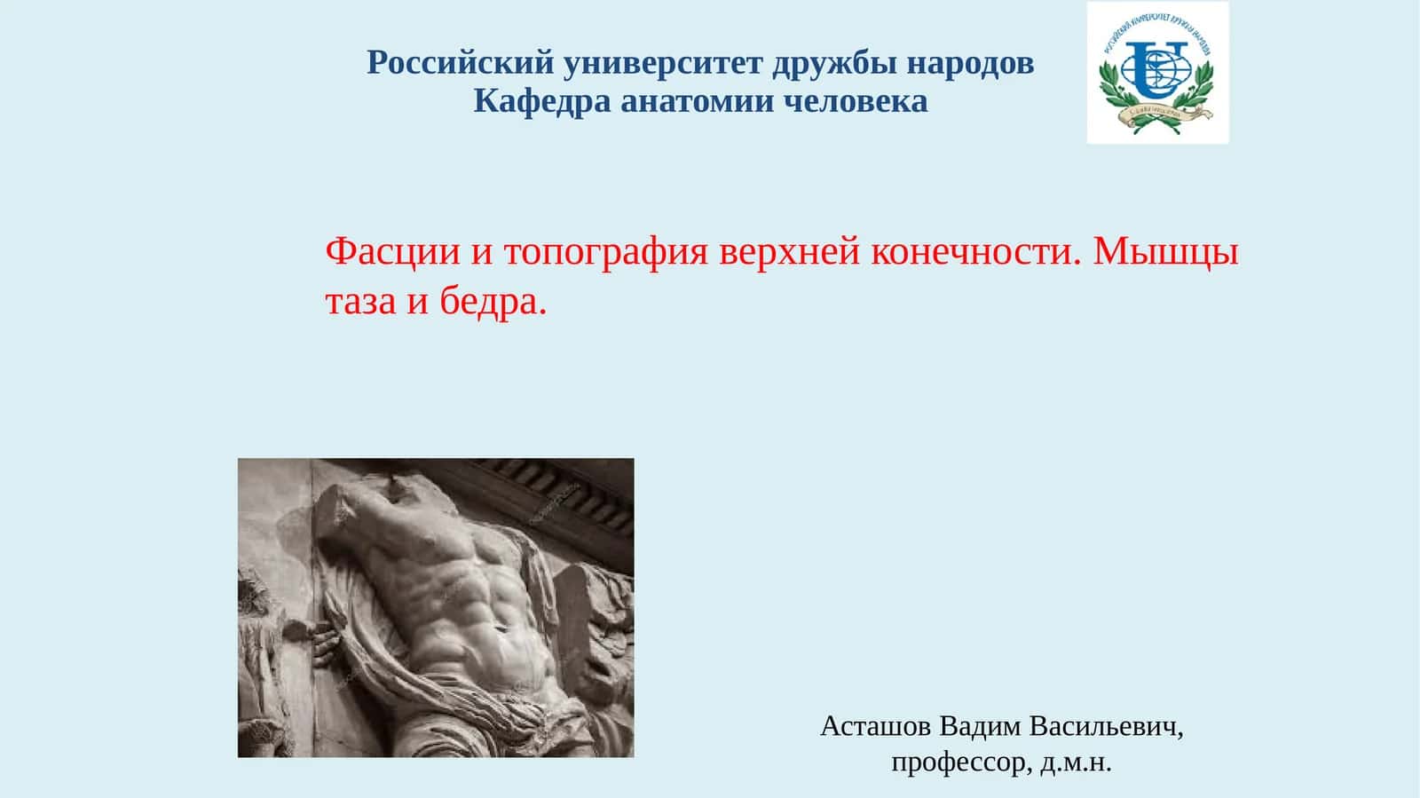 Фасции и топография верхней конечности. Мышцы таза и бедра